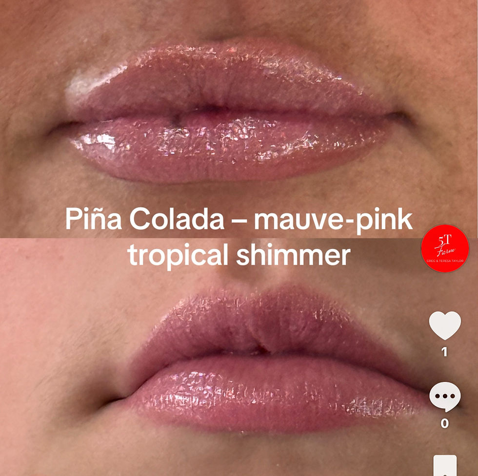 Thumbnail: Tallow Lip Balm 3 pack