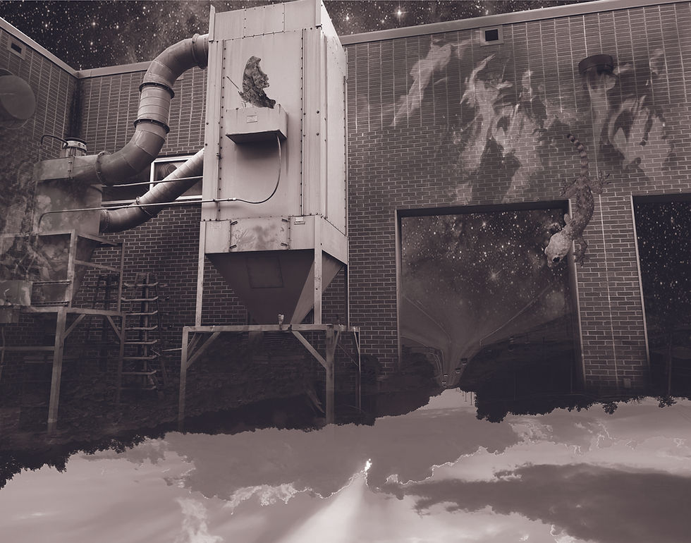 Comer_Camille_BlendedRealities copy.jpg