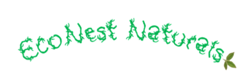 ENN_edited.png