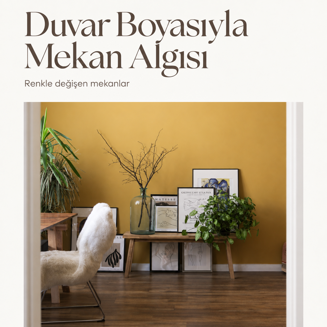Duvar Boyasıyla Mekan Algısı kapağı, sarı duvar önünde bitkiler ve çerçeveler