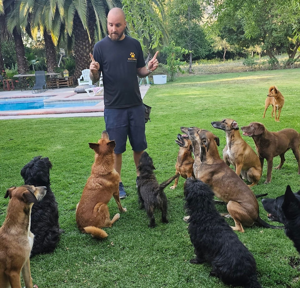 WhatsApp Image 2025-08-29 at 20.52.00