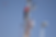 DSC01392.png