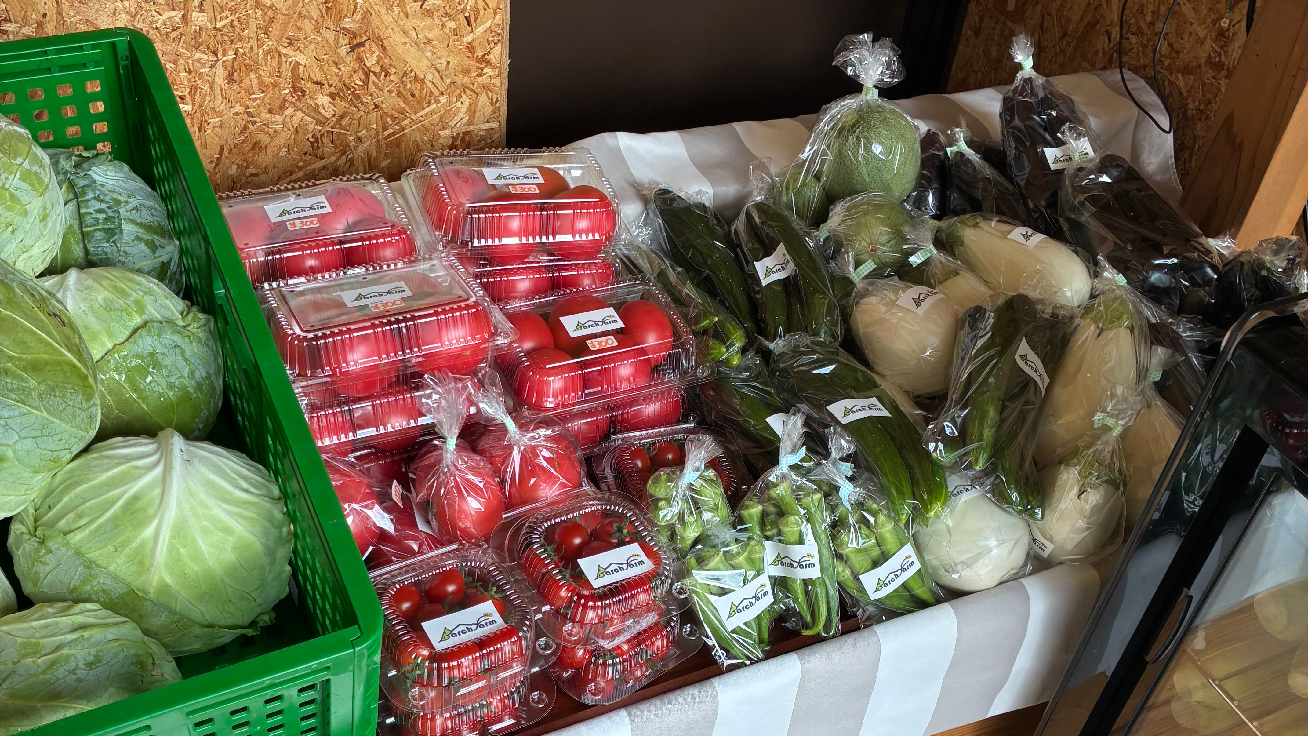 旬の野菜セット｜農家直送・季節のおまかせ野菜詰め合わせ｜送料無料