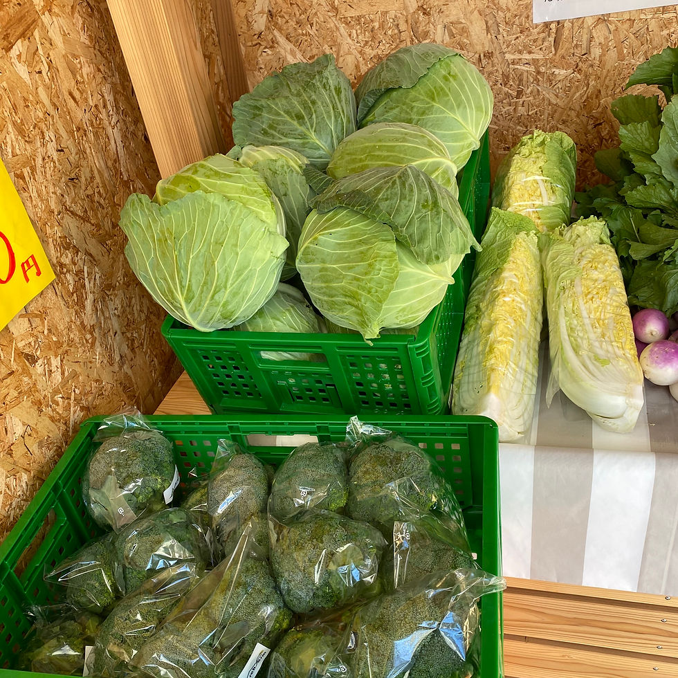 サムネイル： 旬の野菜セット｜農家直送・季節のおまかせ野菜詰め合わせ｜送料無料