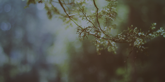 depression anxiety bipolar treatment