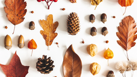 Finding autumnal ease 🍁 yin yoga for cosy season 🧣