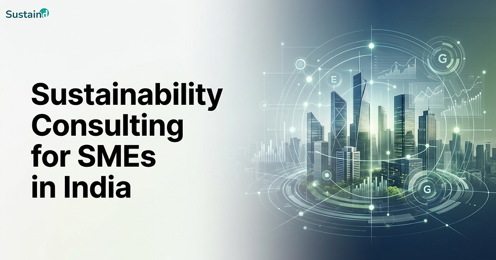 Sustainability Consulting for SMEs in India