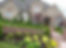 Extensive Mulching & Planting