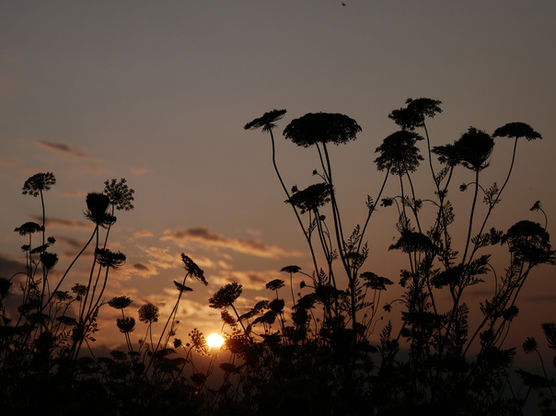 Stapeling lucht-934.jpg