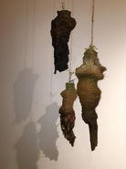 bale creek allen 6.jpeg