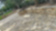 IMG_2293.jpeg