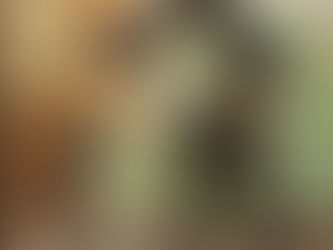 Pastellzeichnung eines schiefen Hauses auf einem wackligen Fundament, das im Boden versinkt.