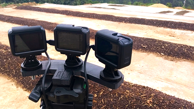 Semana Internacional do Café