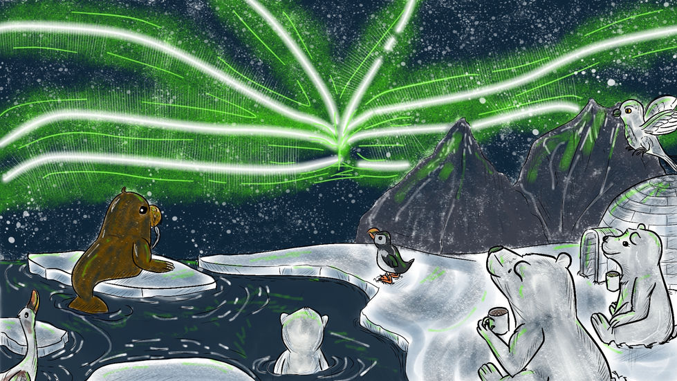 drawing of different Arctic animals looking at an aurora borealis together