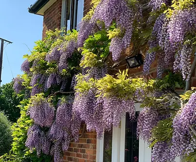 Copy of IMG_0504.webp