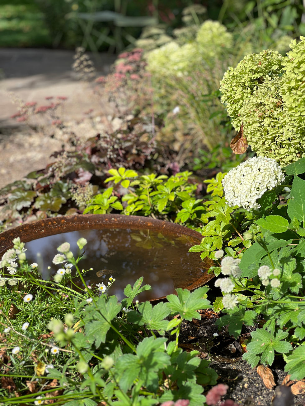 Corten steel water bowl