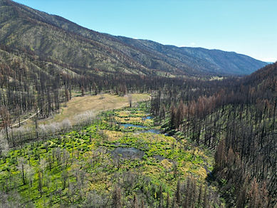 dji_fly_20250812_115610_30_1755026147550_photo.jpeg