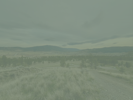 Cook's Ferry website background (1).png