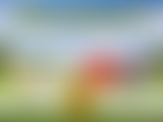 Horizontal vs Vertical Roof