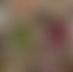 ПОВНОЦІННИЙ БІЛОК НА РОСЛИННОМУ ХАРЧУВАННІ