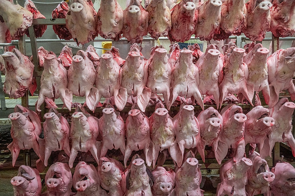 дискримінація вбиває