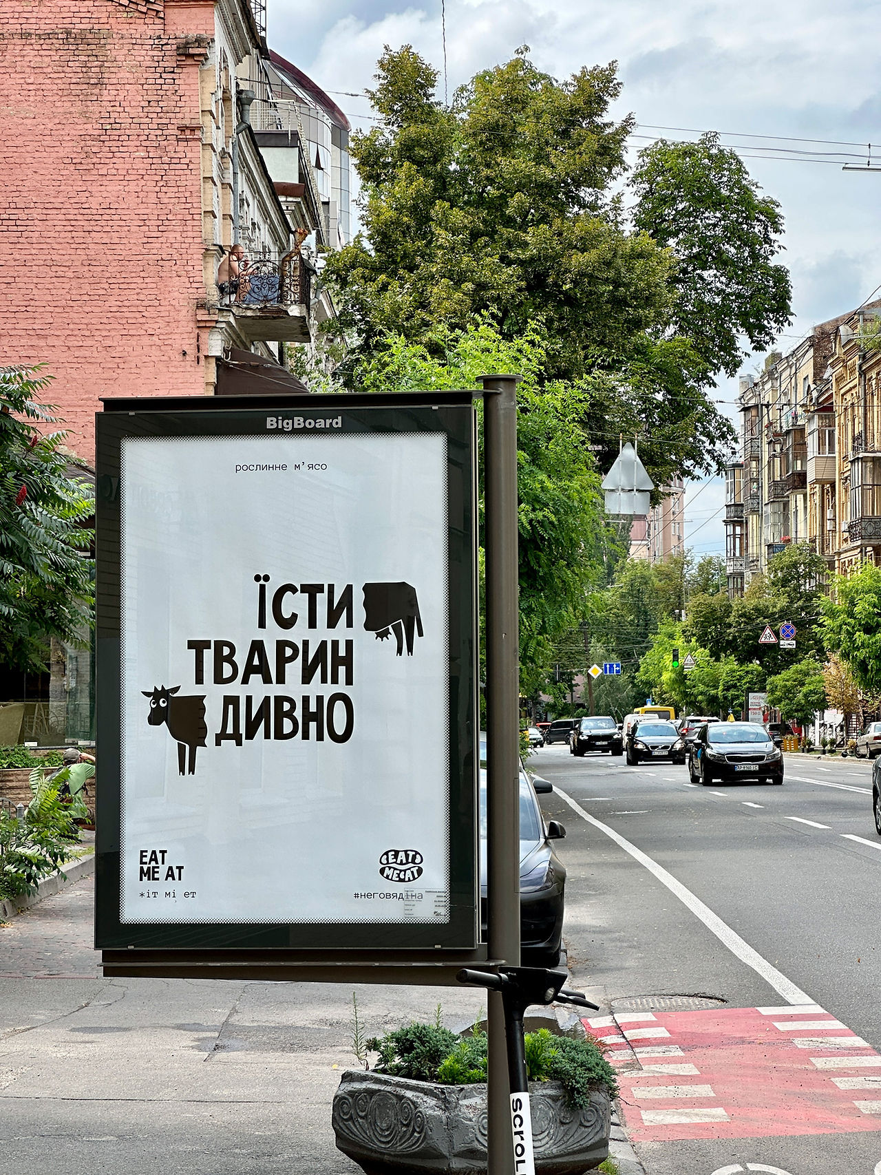 їсти тварин дивно