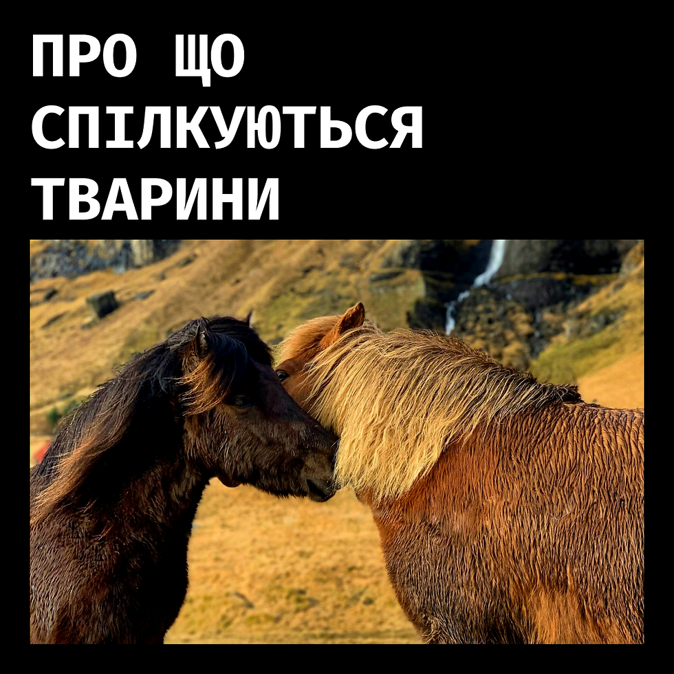 про що спілкуються тварини