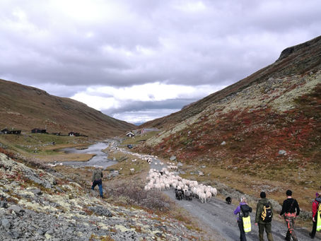 Sauleting Vinstradalen