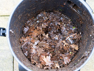 Reasons to Choose Professional Gutter Cleaning Services