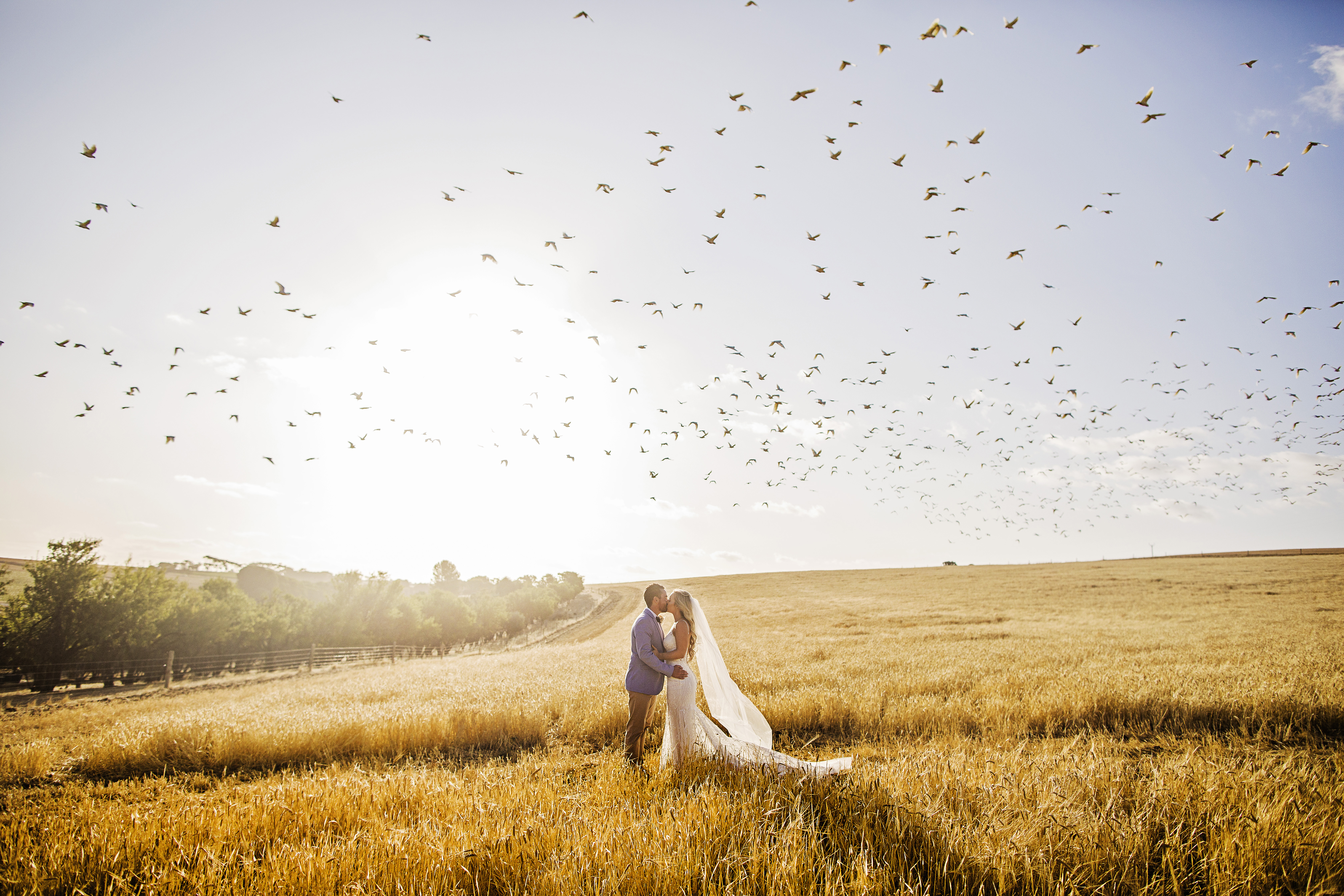 Ellen Heather Photography — photo 16 of 16