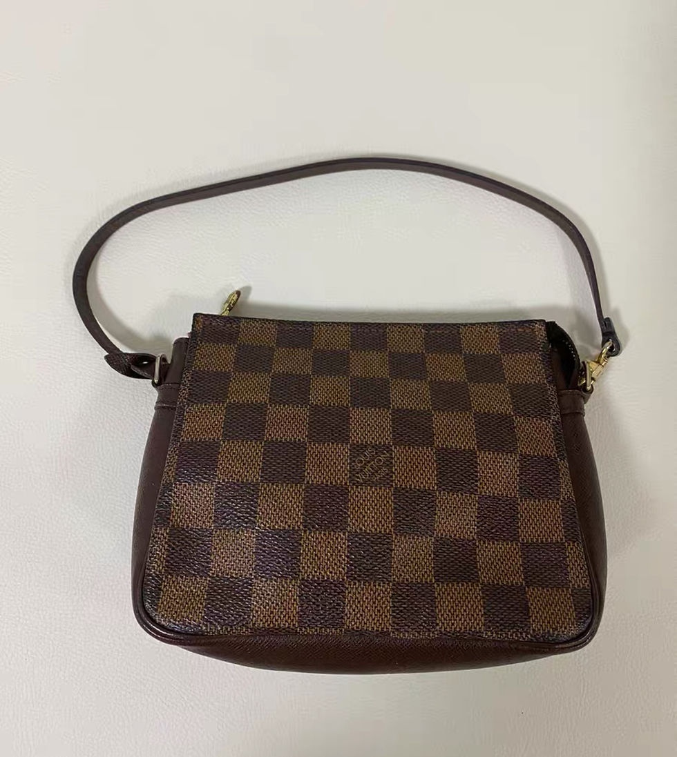 縮圖：LOUIS VUITTON Damier Truth Makeup Bag金扣手挽袋啡色