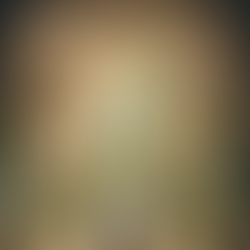 Dai Salotti dell’Ottocento a Städlin: L’Affascinante Storia del Gin Tonic