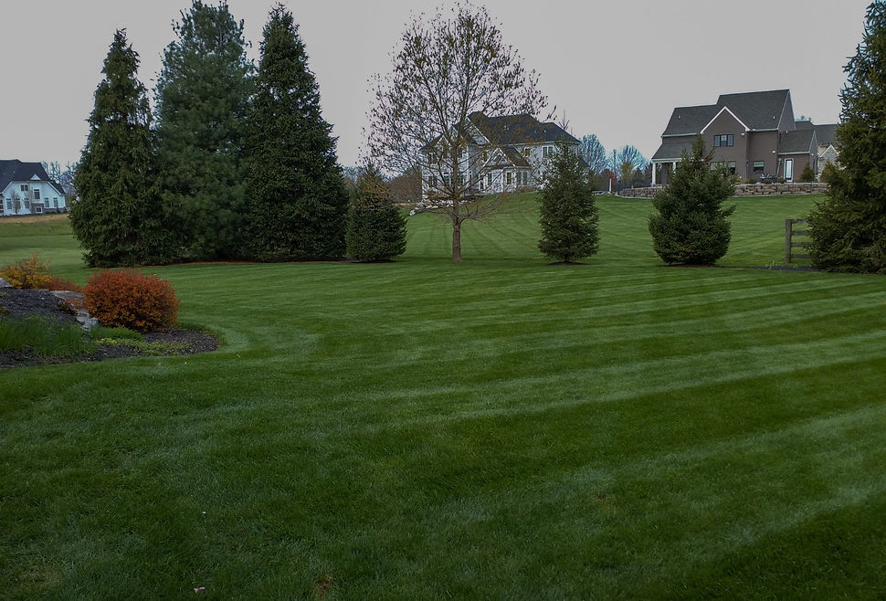 JB Lawn & Landscaping_Glenn Mills_lawn care services_edited.jpg