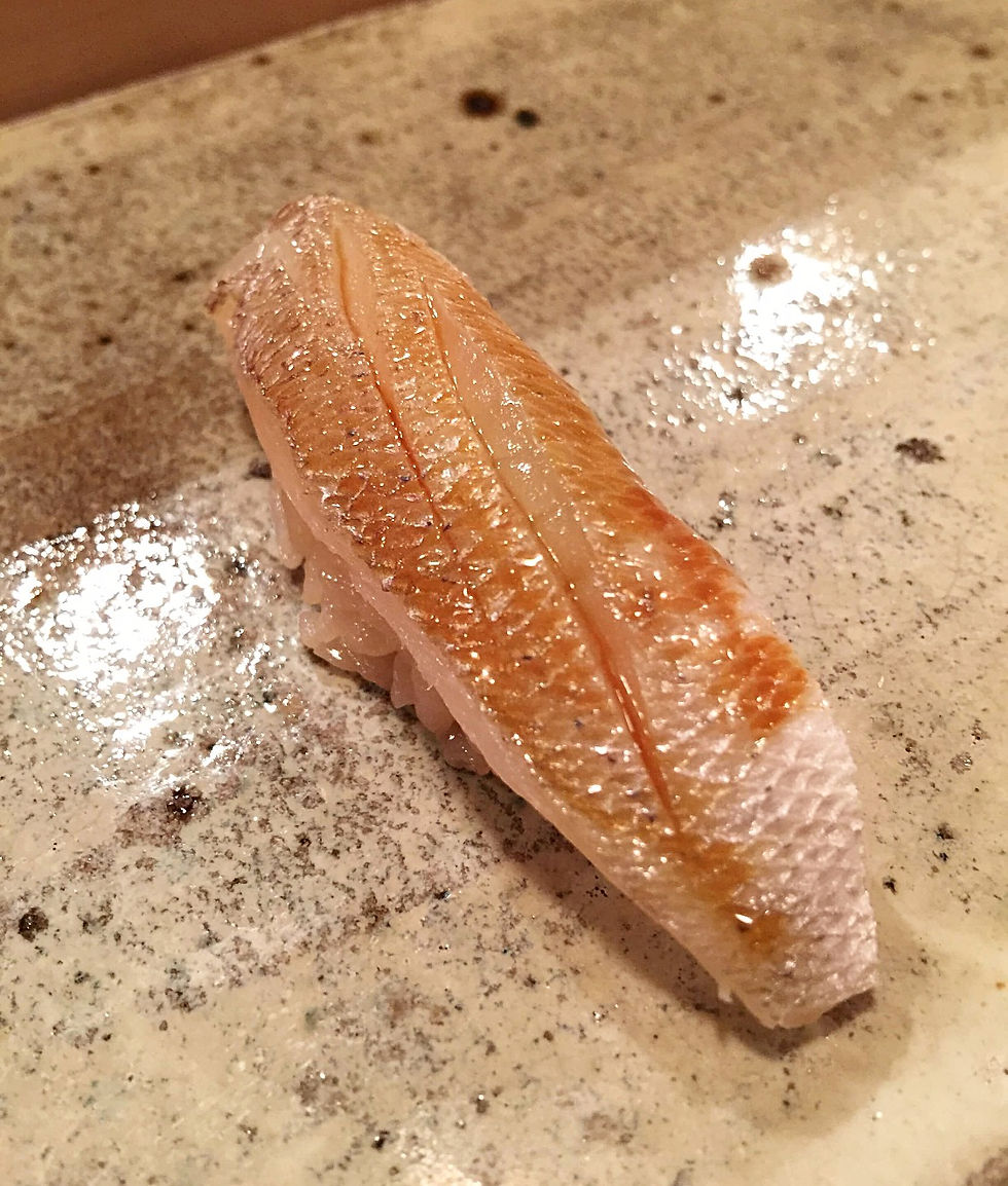 Kasugo (young sea bream) @ Totoya