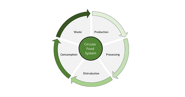 Circular Food System.png
