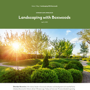 Landscaping with Boxwoods 