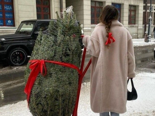 Protecting Your Energy During the Holiday Season!