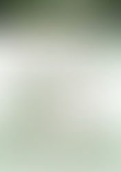 Международный фестиваль молодёжных театров в Пушкинском заповеднике