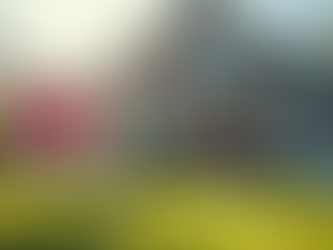 Seguro hipotecario: ¿Cómo protege su hipoteca?