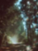 hecate_thedivine_Sunny_clearing_in_Japanese_forest_with_road_an_aac98c00-f457-4598-8334-ce