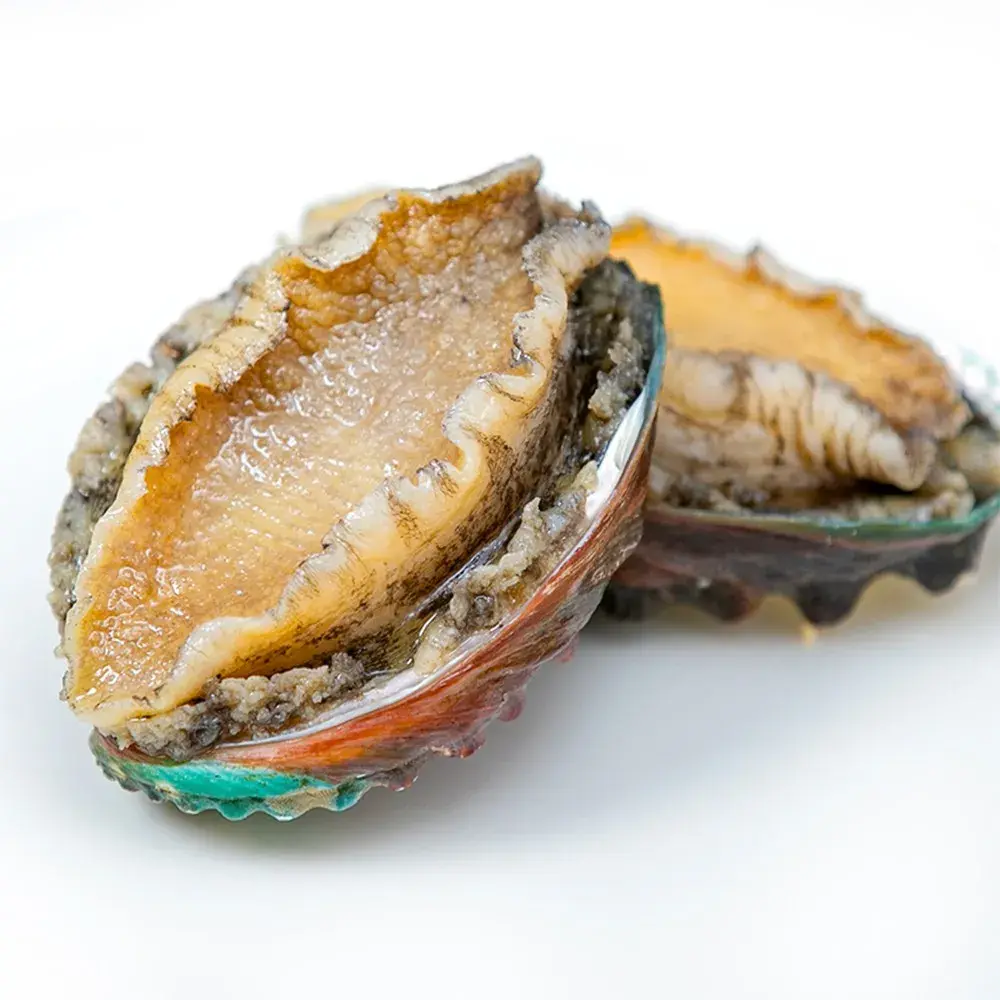 Abalone