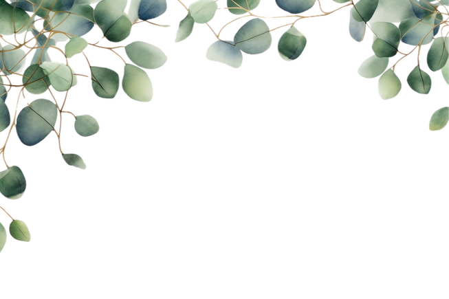 image-from-rawpixel-id-16402166-png_edited_edited.png
