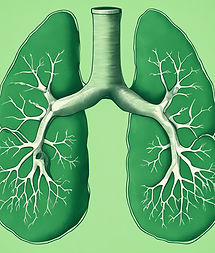 The lungs with a lighter green background