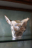 Miniaturbild: aus MEMORY TRACES (MT-REC)