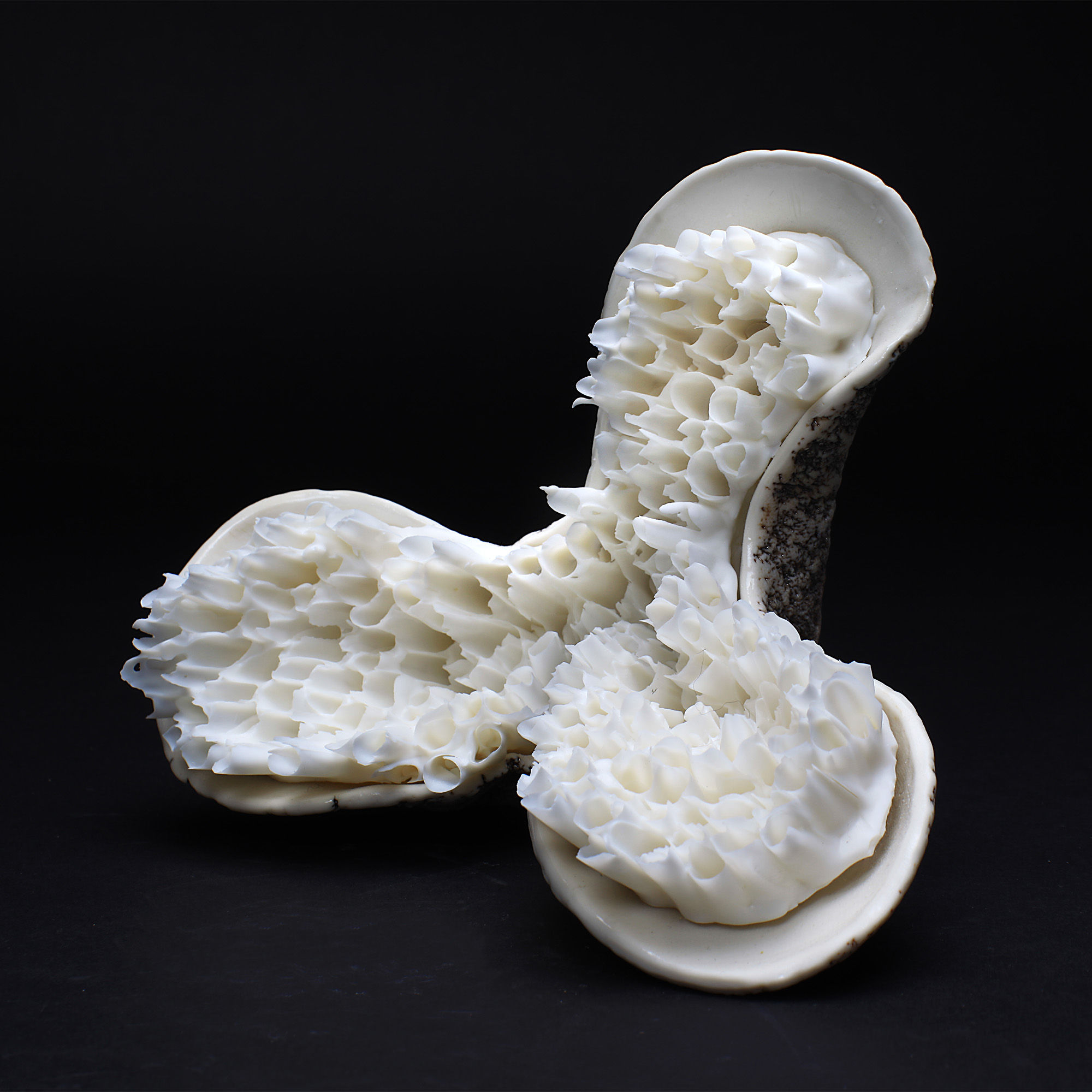 aus BETWEEN THE TIDES (BTT-II-C)