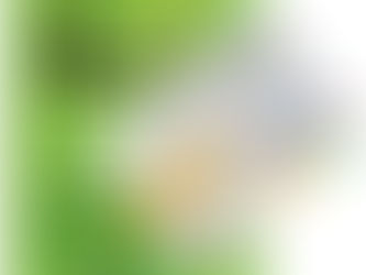 Le solfège ludique : Une aventure musicale pour les jeunes enfants !