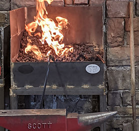 IMG_20201009_153657_exported_466_1602327