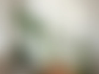 plant room with nice greenery