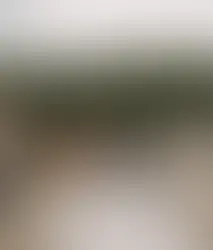 Wedding Belles Love, Wedding Dress Shop Near Me, Wedding Dresses Stoke on Trent, Wedding Dress Shop Staffordshire, Wedding Dress, Wedding Blog, Bridal Gowns Near Me, Stella York Wedding Dress