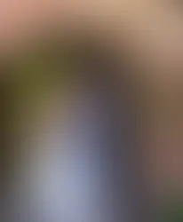 Wedding Belles Love, Wedding Dress Shop Near Me, Wedding Dresses Stoke on Trent, Wedding Dress Shop Staffordshire, Wedding Dress, Wedding Blog, Bridal Gowns Near Me, Stella York Wedding Dress